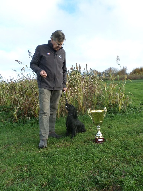 Weeping Willows - Coupe de France 2014