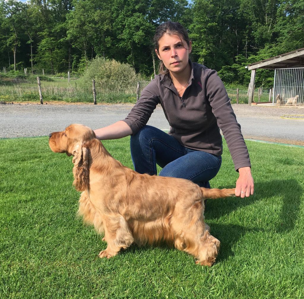 Mister crackerjack des bois de la bro