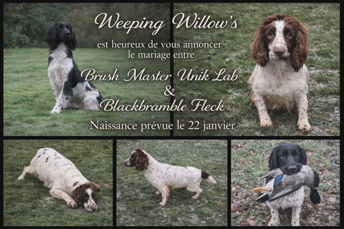 Naissance prévu ce 22 janvier 2026