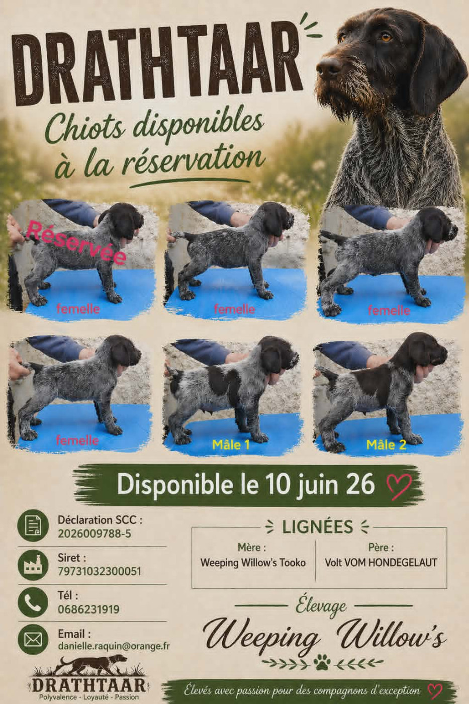 Mes premiers mini's WW de l'année